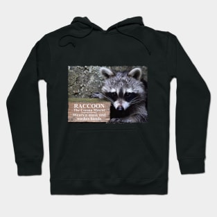 Corona mascot Raccoon Hoodie